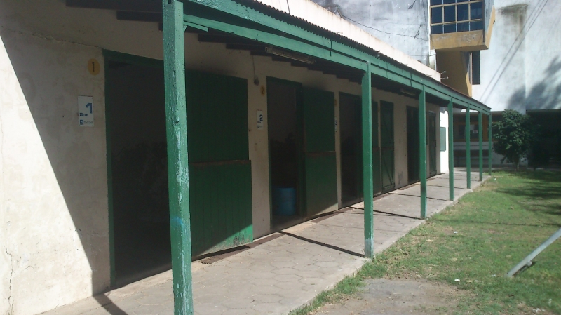 Galeria