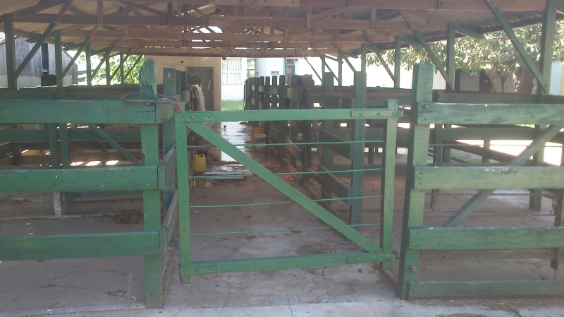 Galeria
