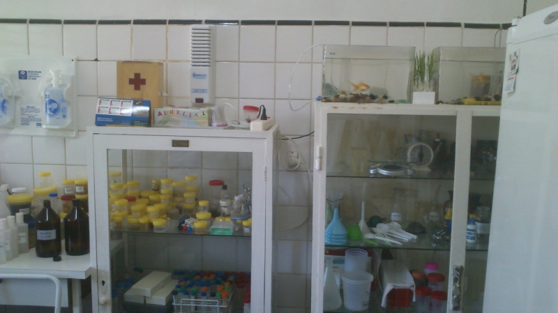 Galeria