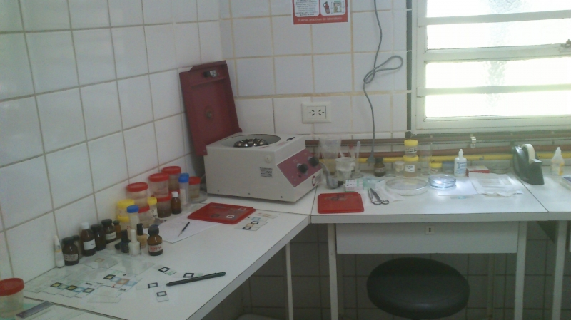 Galeria