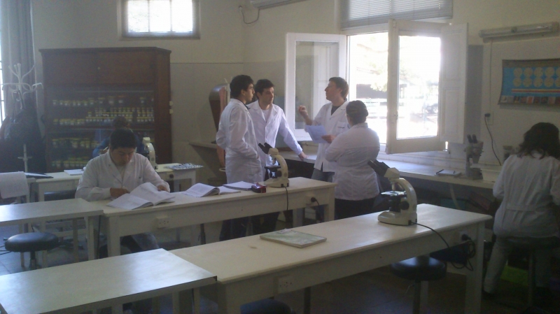 Galeria