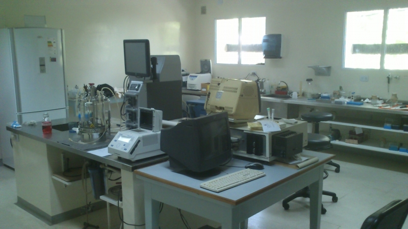 Galeria